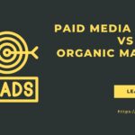 Paid Media Services vs. Organic Marketing
