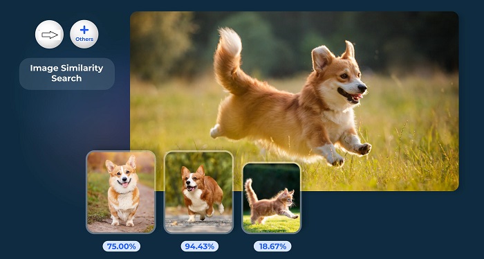 Visual Similarity Search